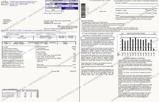 Belgium Golden Valley Electric Association utility bill template in Word and PDF formats, 2 pages